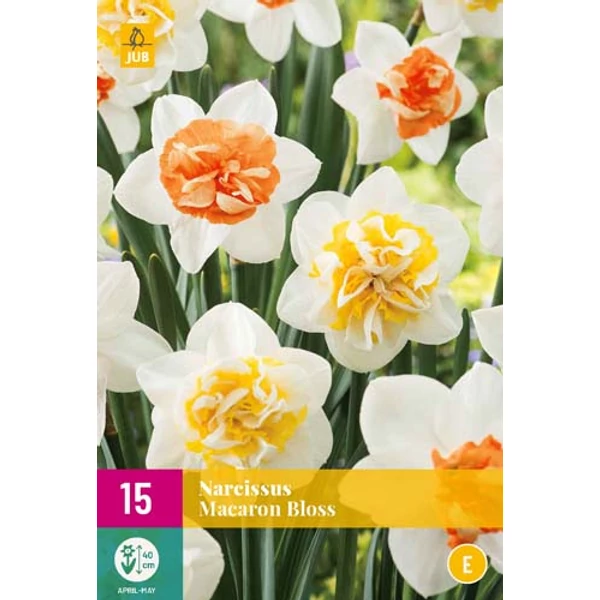 Nárcisz VIRÁGHAGYMA NARCISSUS MACARON BLOSS 10DB/CSOMAG JUB 323040