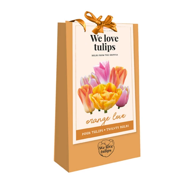 Tulipán VIRÁGHAGYMA TÁSKA TULIPS ORANGE LOVE WE LOVE TULIPS 20DB/TÁSKA JUB 721250