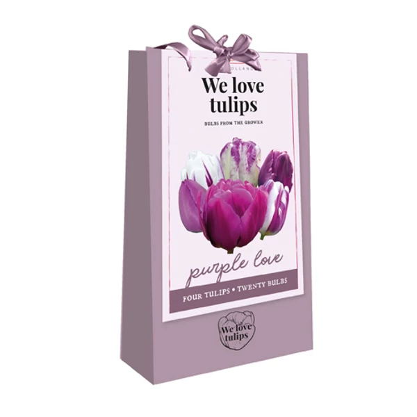 Tulipán VIRÁGHAGYMA TÁSKA TULIPS PURPLE LOVE WE LOVE TULIPS 20DB/TÁSKA JUB 721260