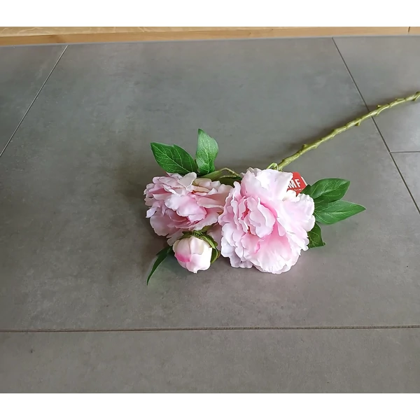 Művirág SELYEMVIRÁG PAEONIA