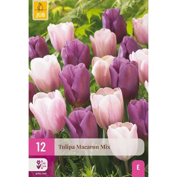 Tulipán VIRÁGHAGYMA TULIPS MACARON MIX 12DB/CSOMAG JUB 322490
