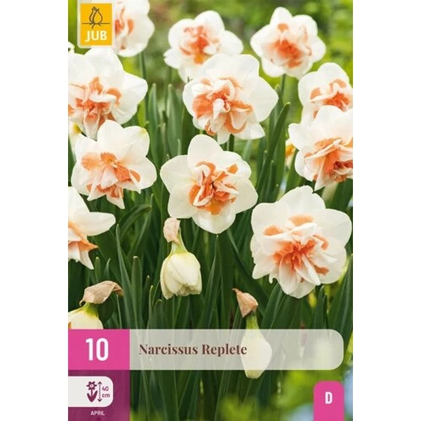 Nárcisz VIRÁGHAGYMA NARCISSUS REPLETE 10DB/CSOMAG JUB 323149