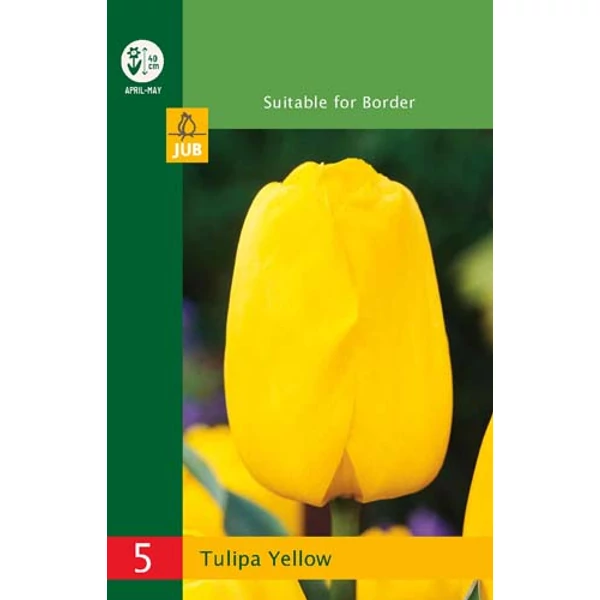 Tulipán VIRÁGHAGYMA TULIPS TRIUMPH YELLOW 5DB/CSOMAG JUB 350200