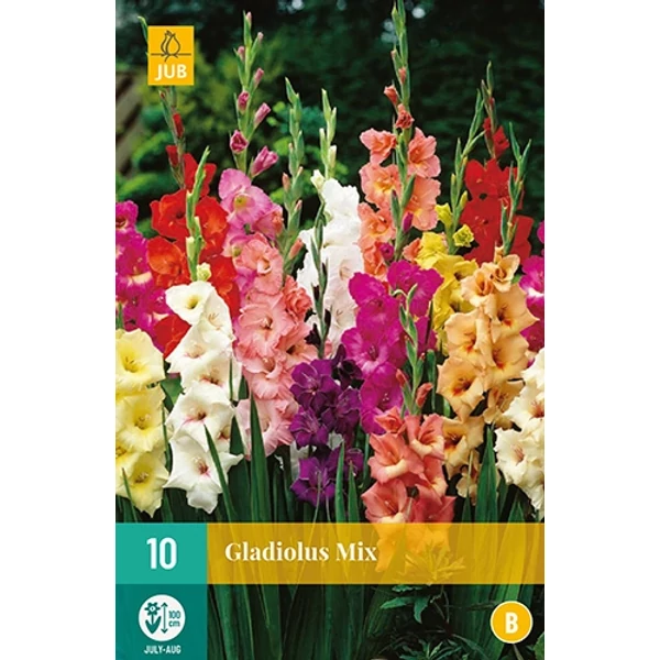 Virághagyma kardvirág VIRÁGHAGYMA GLADIOLUS MIX 10DB/CSOMAG JUB 105850
