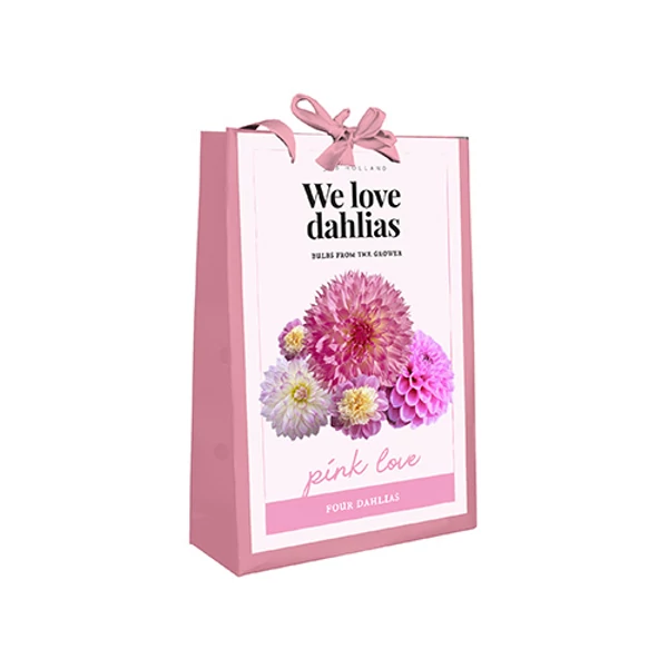 Virághagyma dália VIRÁGHAGYMA TÁSKA WE LOVE DAHLIAS PINK LOVE 4DB/CSOMAG JUB 700750