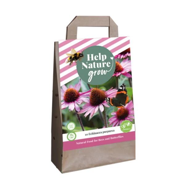 Bíbor kasvirág VIRÁGHAGYMA TÁSKA ECHINACEA PURPUREA-HELP NATURE GROW 10 DB/CSOMAG JUB 700935