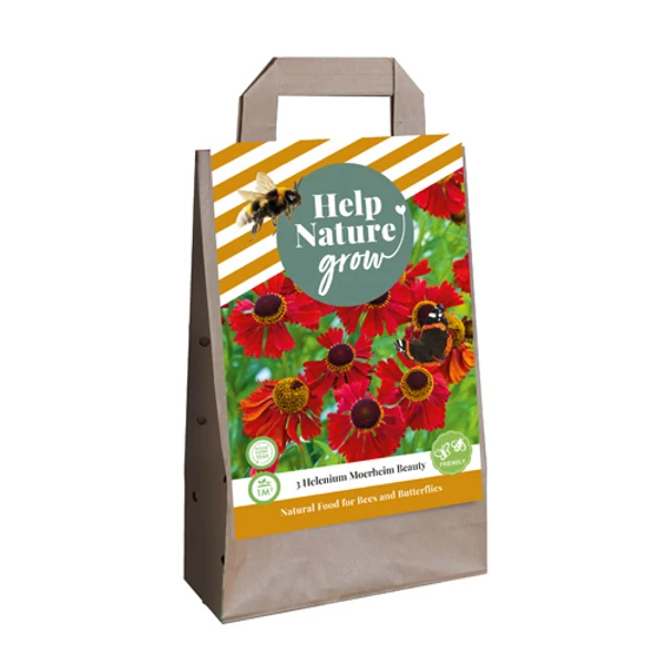 Napfényvirág VIRÁGHAGYMA TÁSKA HELENIUM MOERHEIM BEAUTY-HELP NATURE GROW 3DB/CSOMAG JUB 700943