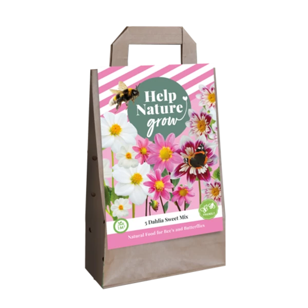 Dália VIRÁGHAGYMA TÁSKA DAHLIA SWEET MIX-HELP NATURE GROW 5DB/CSOMAG JUB 700955