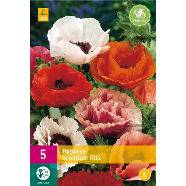Keleti mák VIRÁGHAGYMA PAPAVER ORIENTALE MIX 5DB/CSOMAG JUB 133451