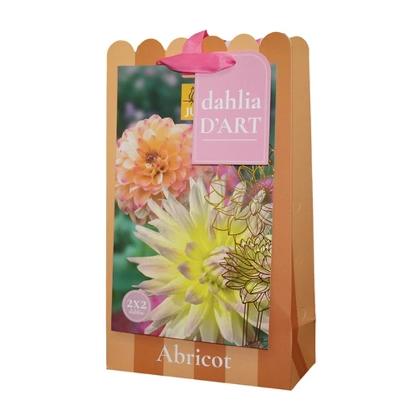 Virághagyma dália VIRÁGHAGYMA TÁSKA DAHLIA ABRICOT 4DB/CSOMAG JUB 701175